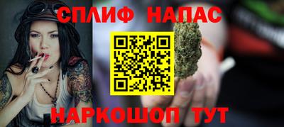 тгк Кингисепп