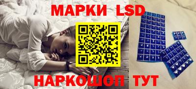тгк Кингисепп