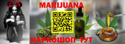 тгк Кингисепп