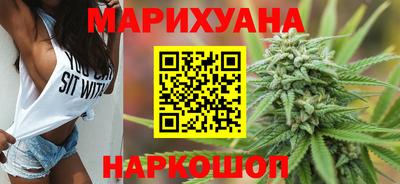 тгк Кингисепп
