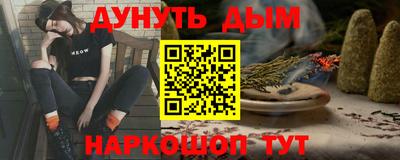 тгк Кингисепп