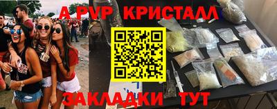 тгк Кингисепп