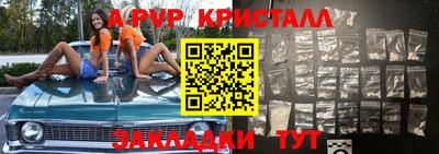 тгк Кингисепп