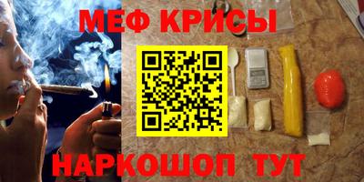 тгк Кингисепп
