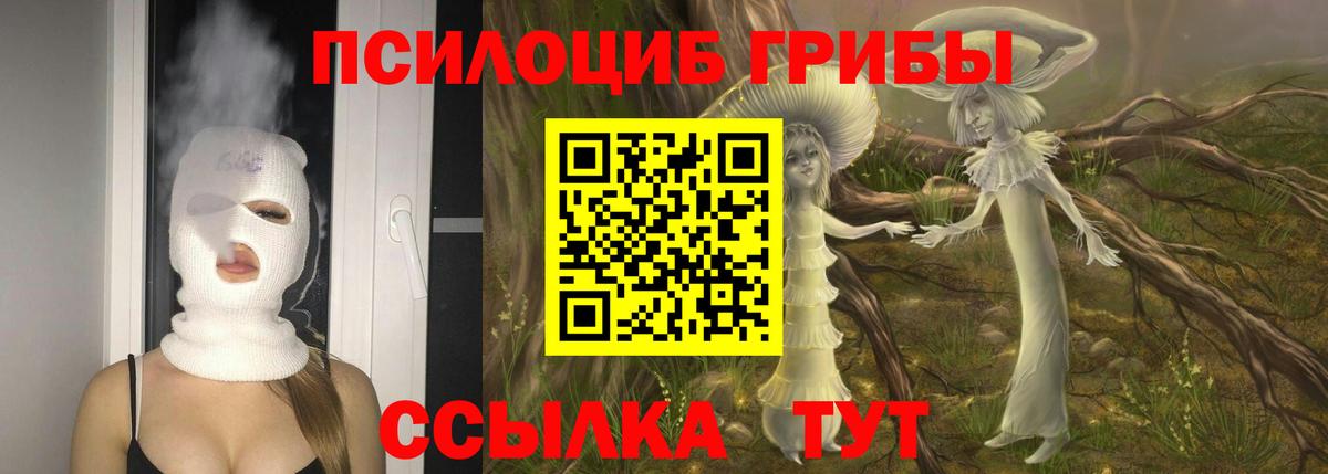 Коломна  Псилоцибиновые грибы MAGIC MUSHROOMS  Вход с VPN  Галлюциногенные грибы Cubensis 