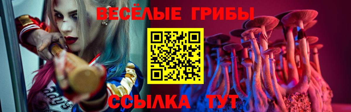 Галлюциногенные грибы Magic Shrooms Коломна